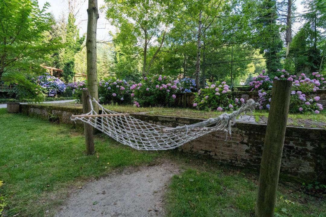 Photo of Others in Sapanca