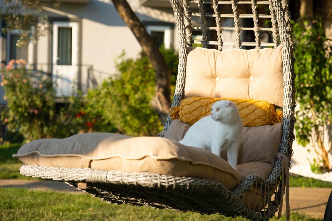 Photo of Others in Oludeniz
