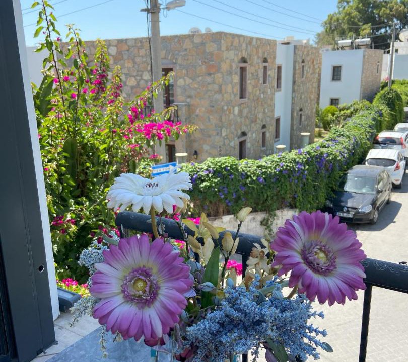 Photo of Others in Bodrum City Center