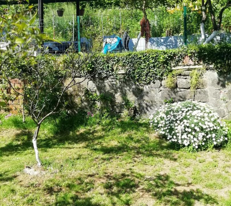 Photo of Others in Persembe