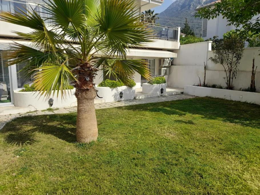 Photo of Others in Oludeniz