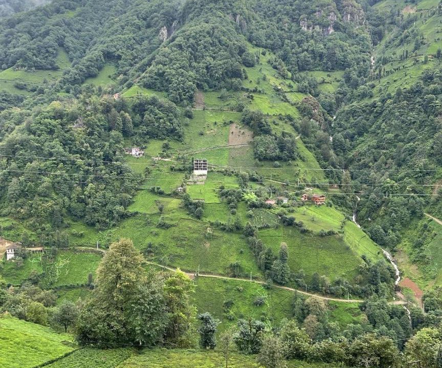 Photo of Others in Cayirduzu