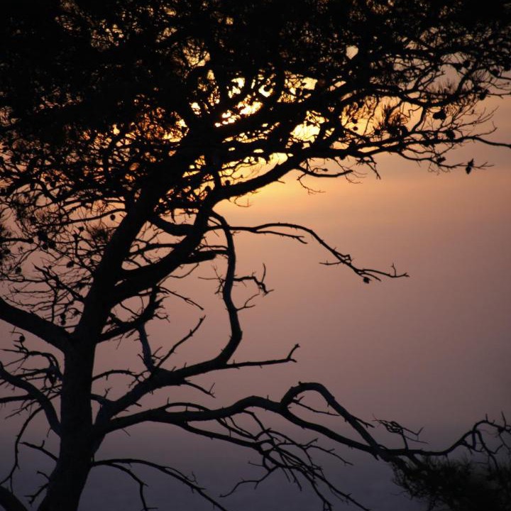 Photo of Others in Patara