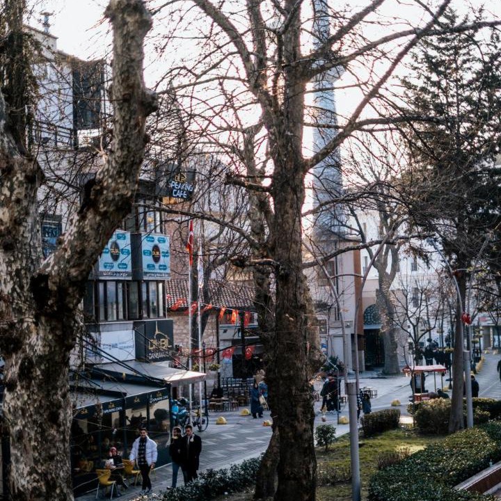 Photo of Others in Yalova