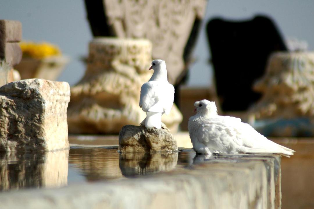 Photo of Others in Uchisar