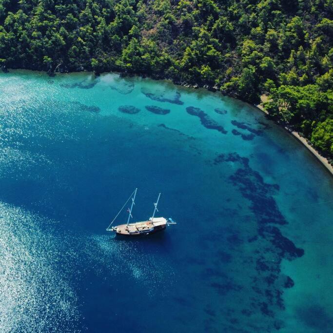 Photo of Others in Marmaris