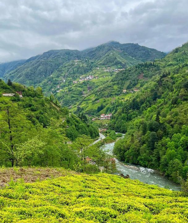 Photo of Others in Ayder