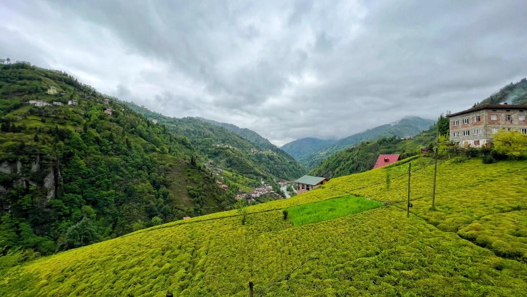 Photo of Others in Ayder