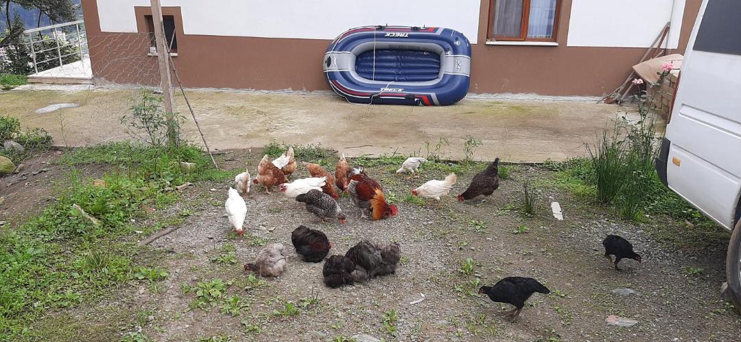 Photo of Others in Ovacik