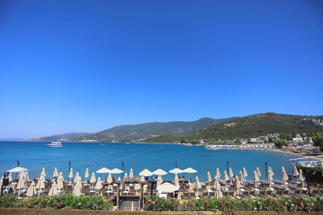 Photo of Others in Torba