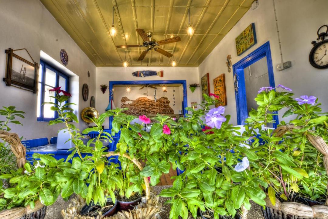Photo of Others in Ayvalik