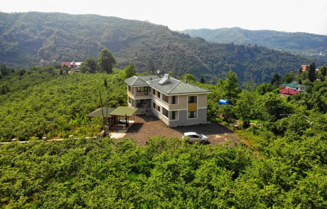Photo of Others in Trabzon