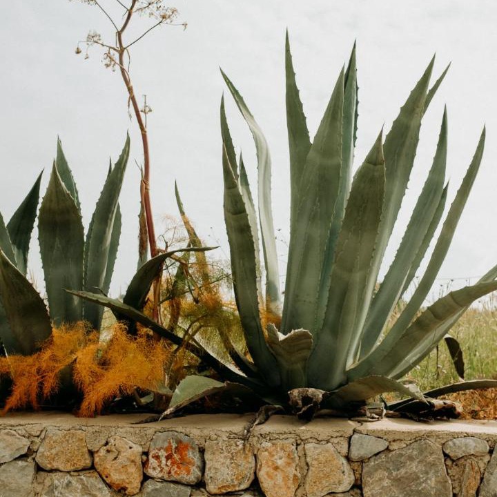 Photo of Others in Turgutreis