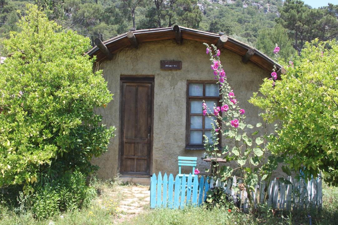 Photo of Others in Olympos