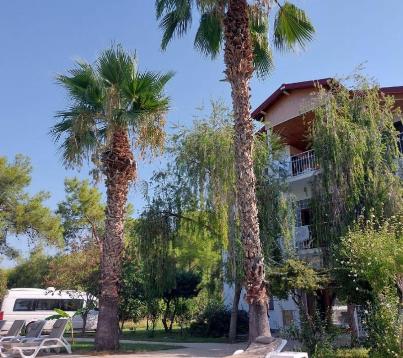 Photo of Others in Fethiye