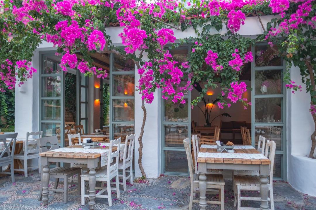 Photo of Others in Oludeniz City Center