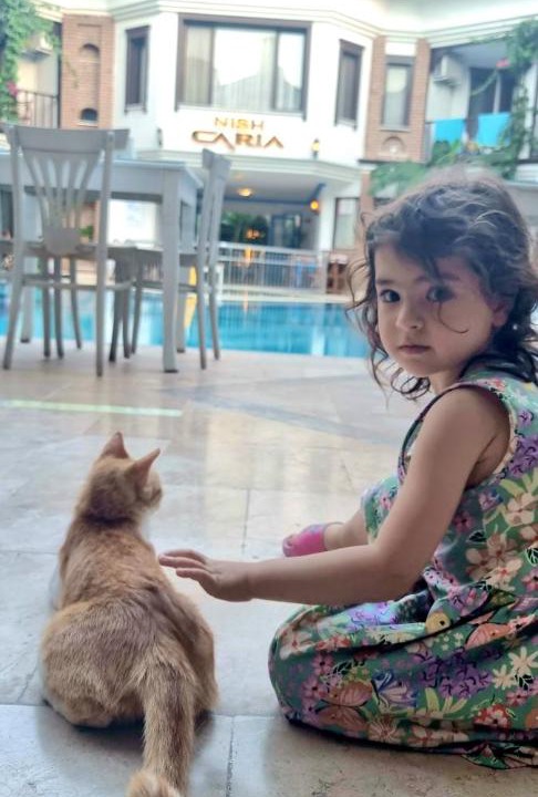 Photo of Others in Dalyan City Center