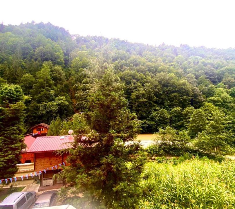 Photo of Others in Caykara