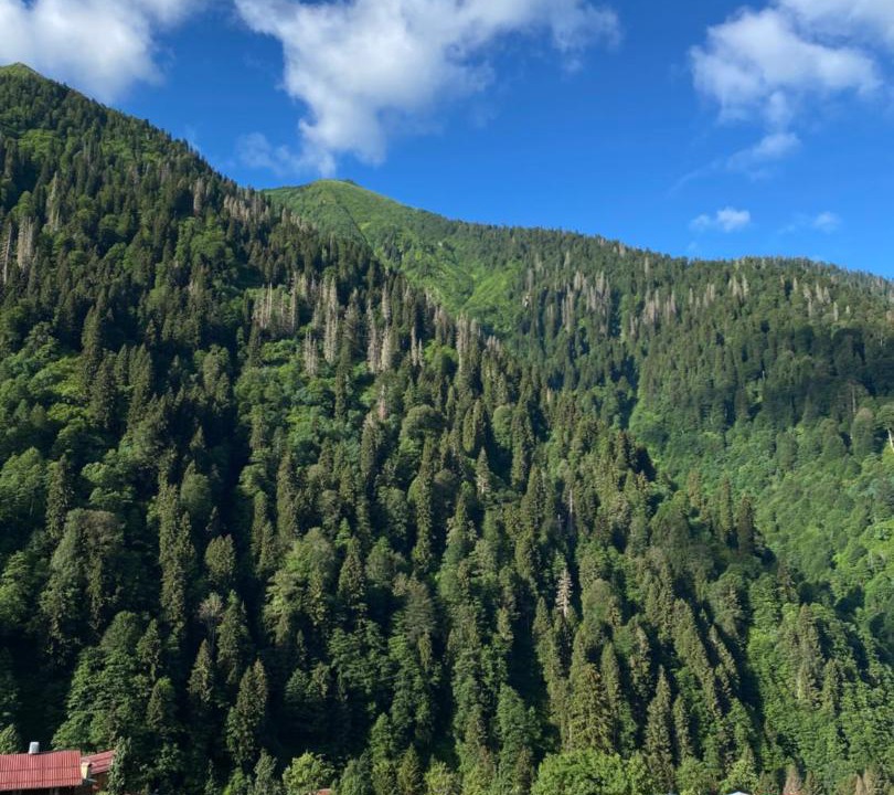 Photo of Others in Ayder Yaylasi