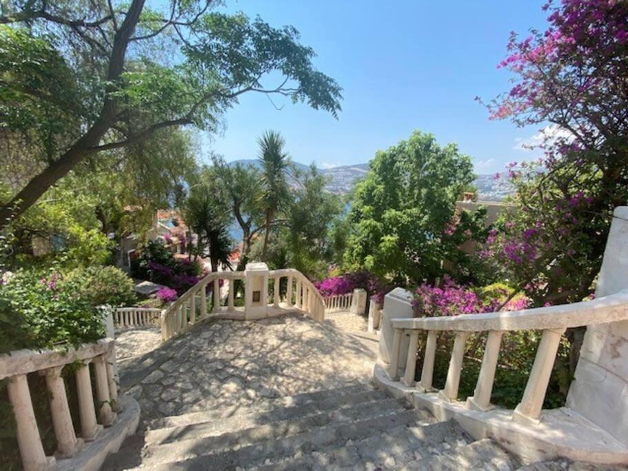 Photo of Others in Kalkan