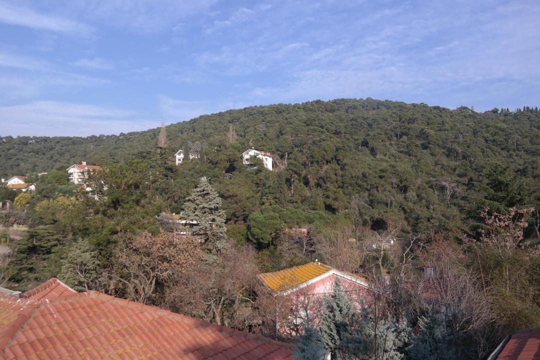 Photo of Others in Adalar
