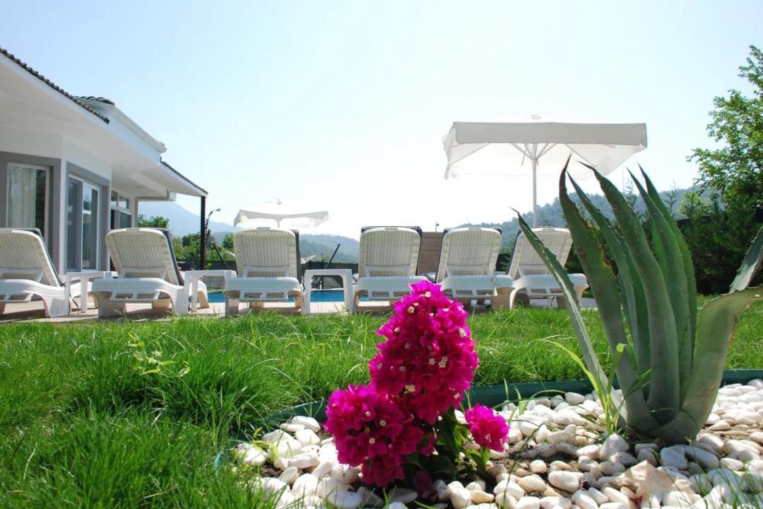 Photo of Others in Fethiye