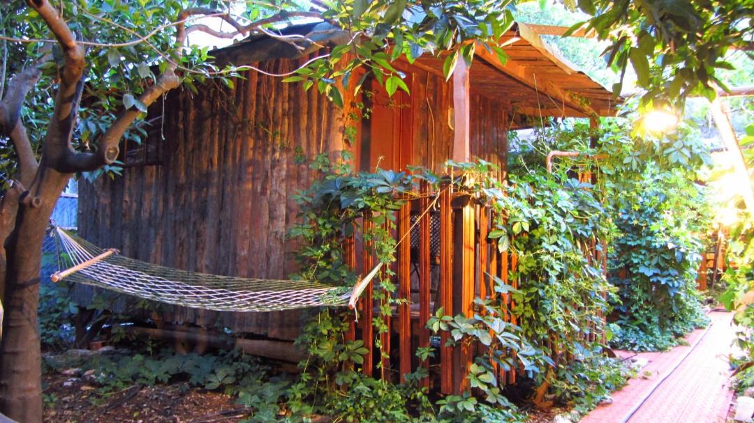 Photo of Others in Olympos