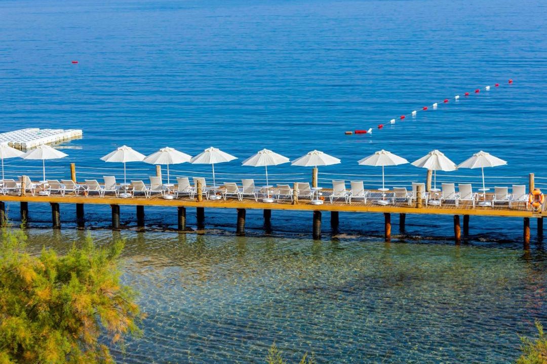 Photo of Others in Zeytinlikahve