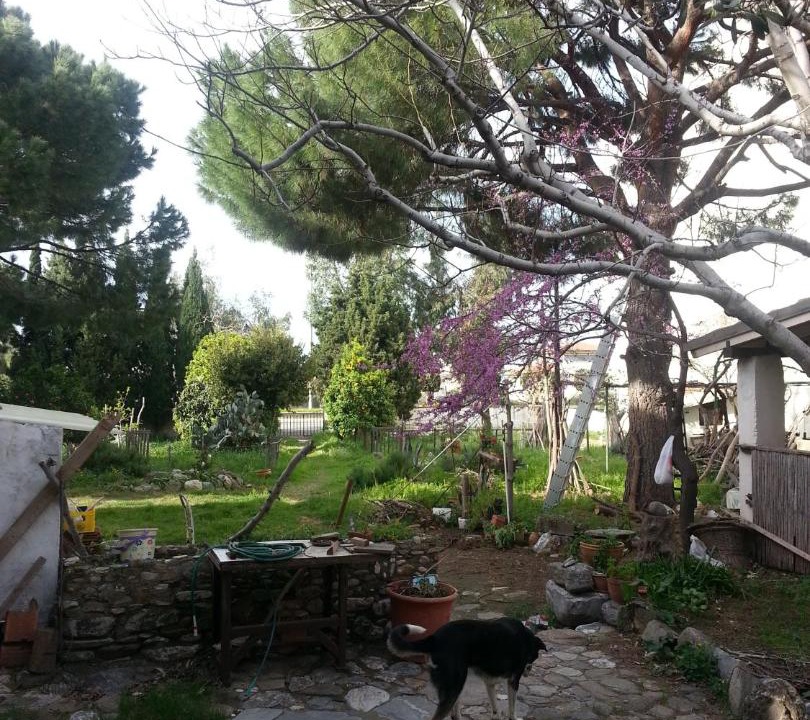 Photo of Others in Guzelcamli