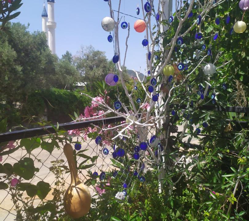 Photo of Others in Oludeniz