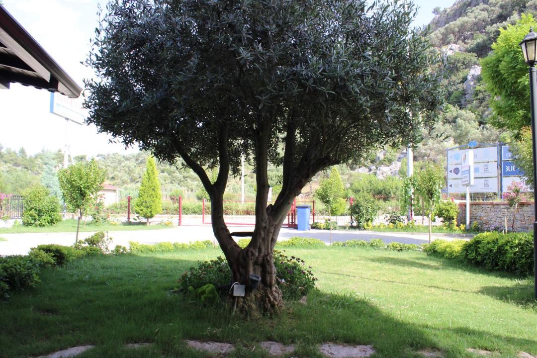 Photo of Others in Sarigerme