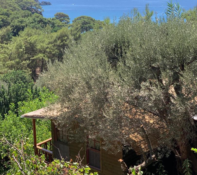 Photo of Others in Kabak Valley