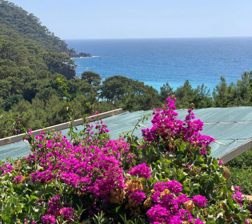 Photo of Others in Kabak Valley