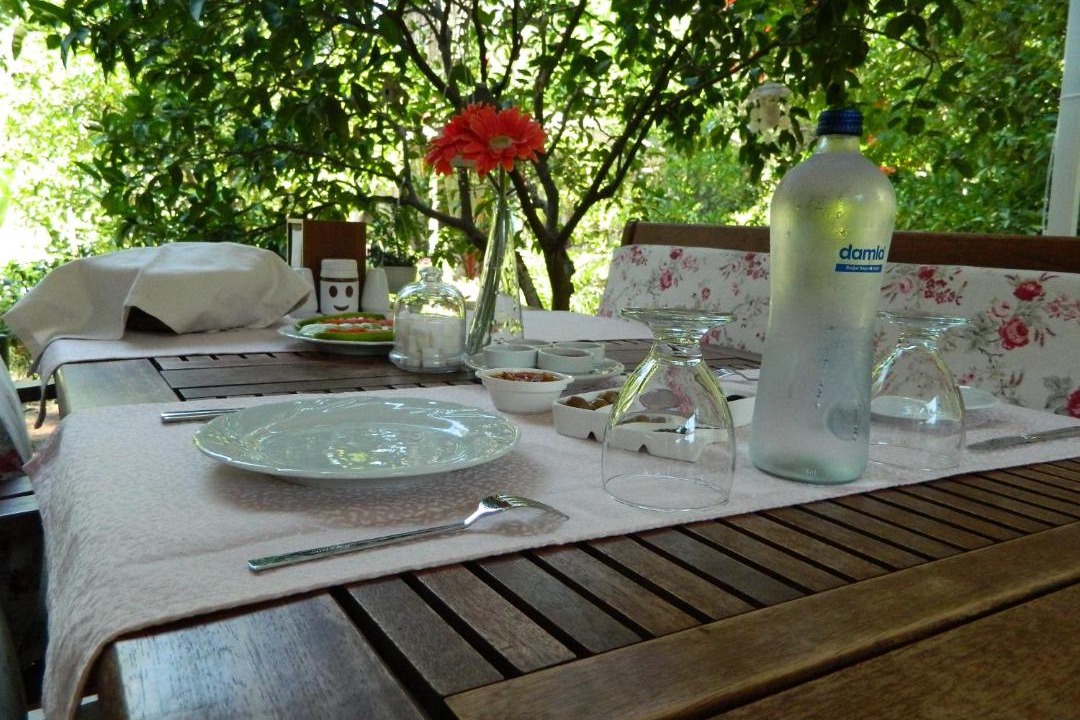 Photo of Others in Olympos
