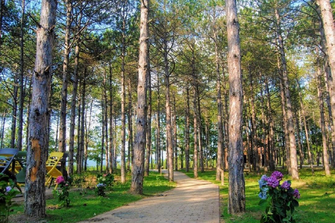 Photo of Others in Demirkoy