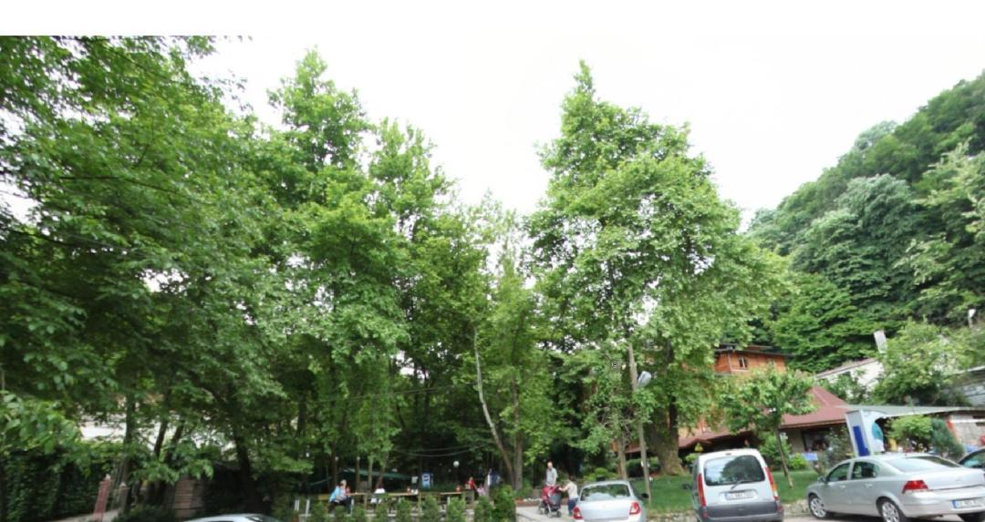 Photo of Others in Masukiye