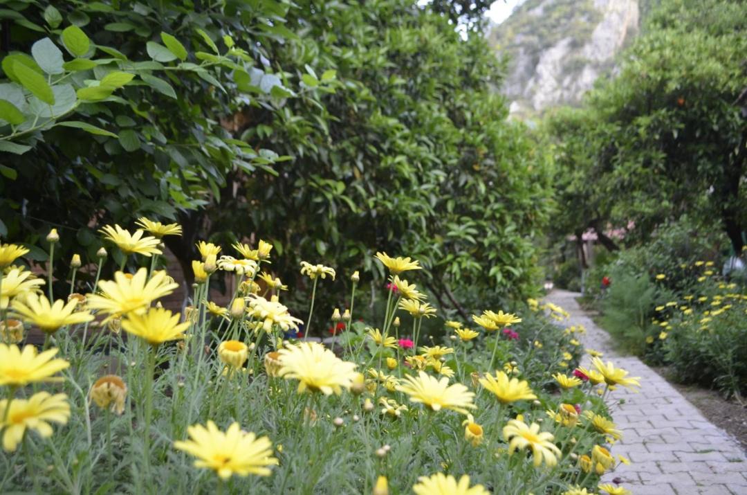 Photo of Others in Olympos