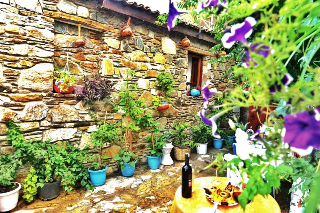 Photo of Others in Sirince