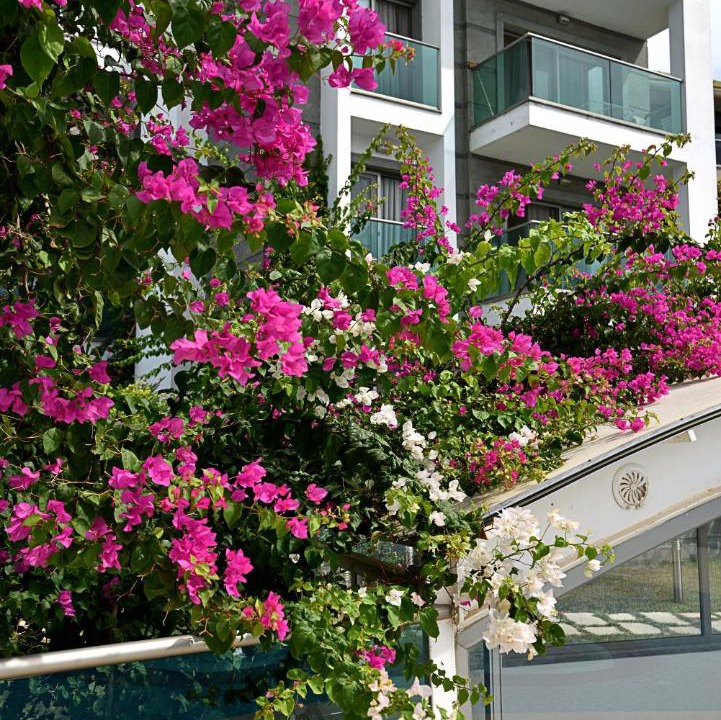 Photo of Others in Bodrum City Center