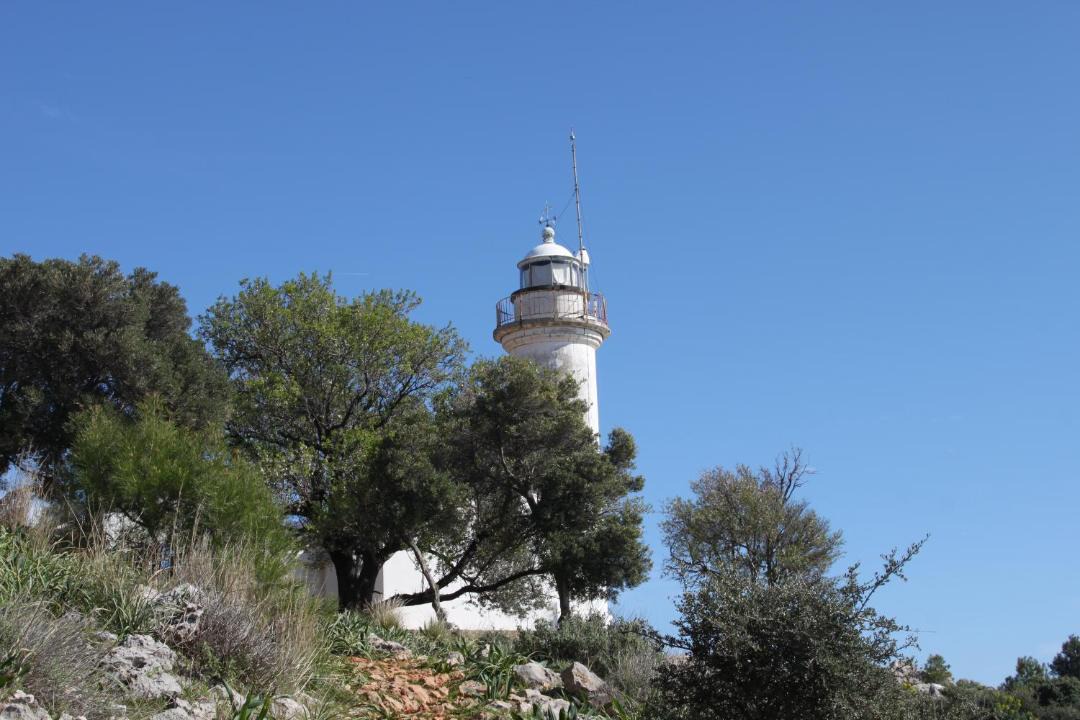 Photo of Others in Olympos