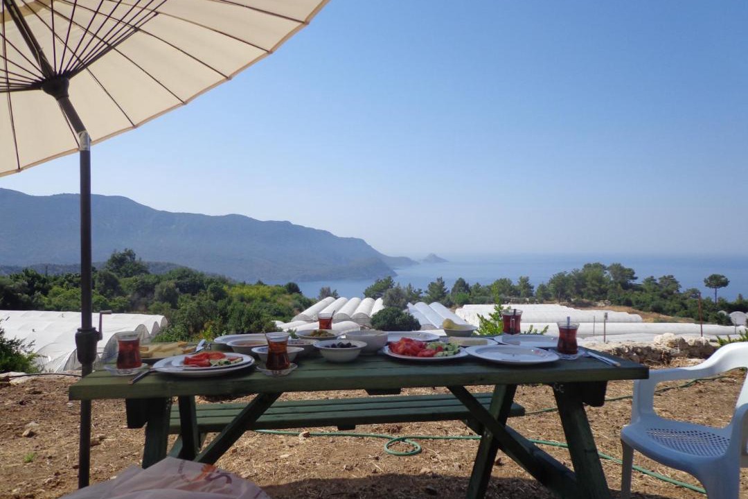 Photo of Others in Kumluca