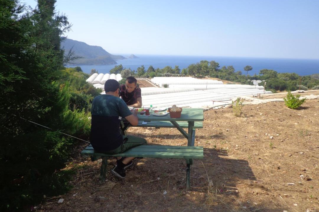 Photo of Others in Kumluca