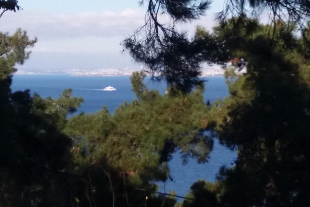 Photo of Others in Adalar
