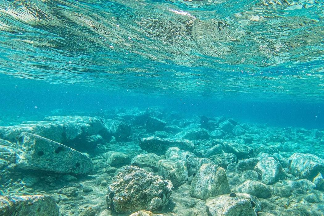 Photo of Others in Ayvacik