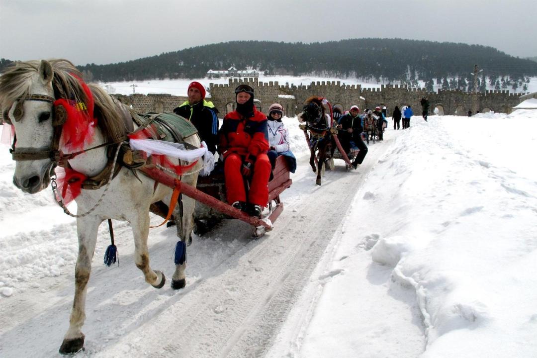 Photo of Others in Sarikamis