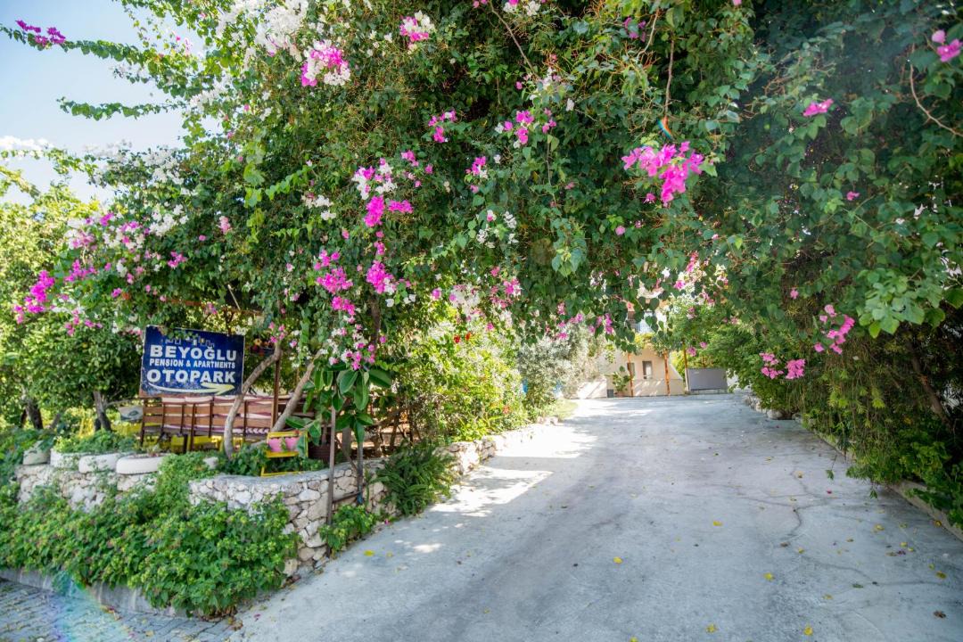 Photo of Others in Patara