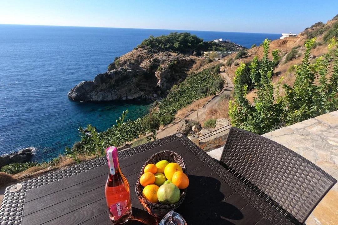 Photo of Others in Gazipasa