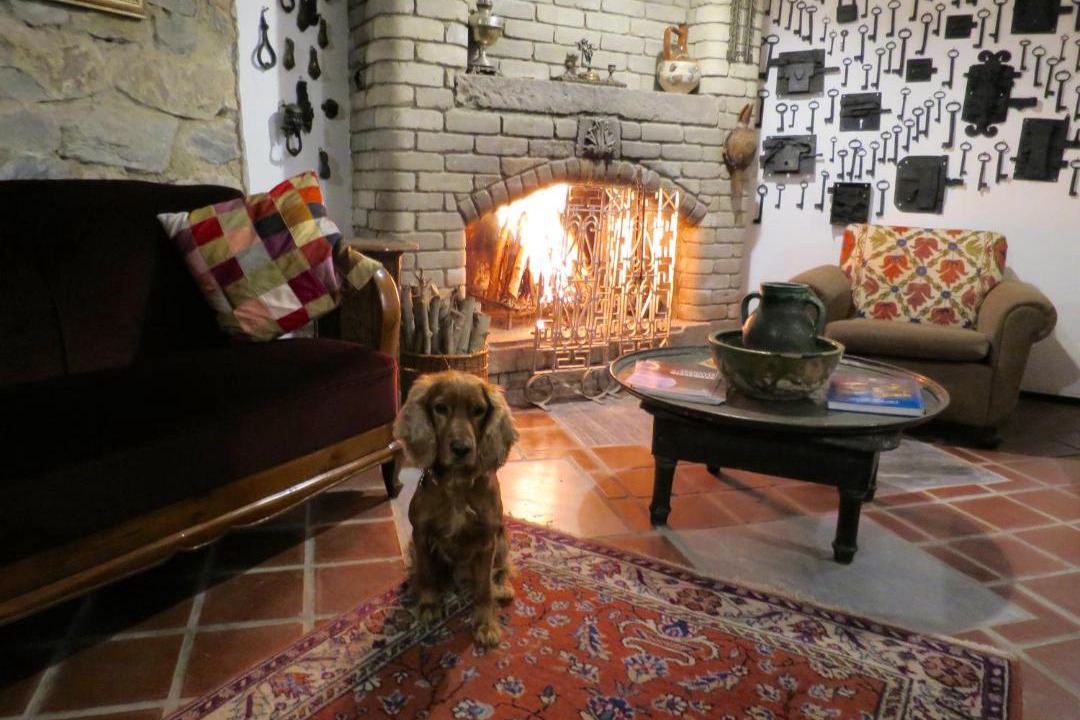 Photo of Livingroom in Selcuk
