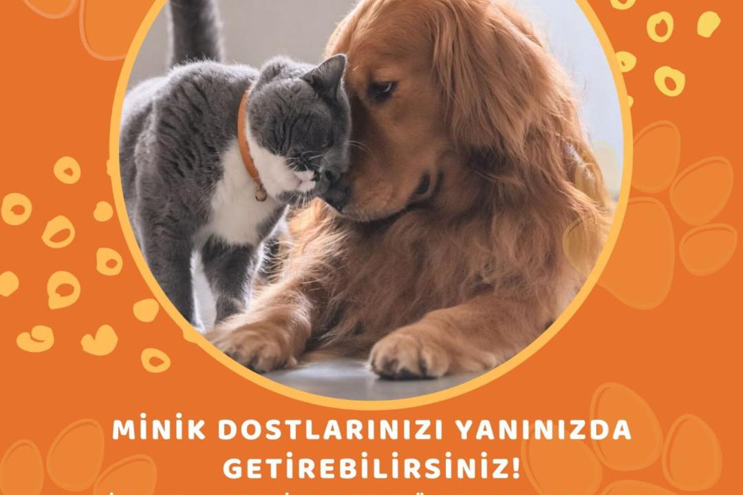 Photo of Others in Odunpazarı
