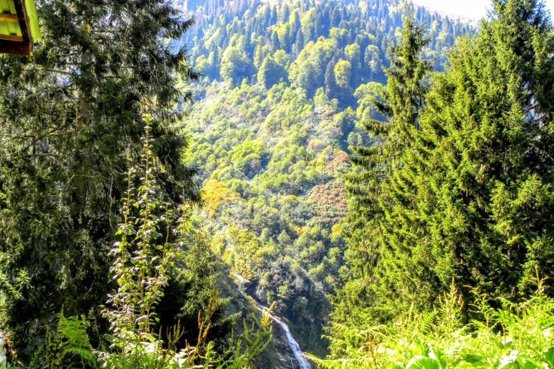 Photo of Others in Ayder Yaylasi